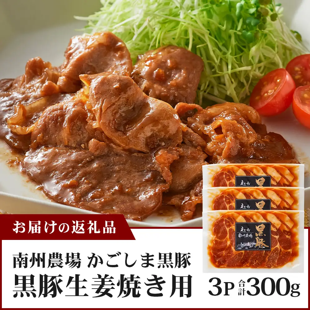 鹿児島県産 黒豚生姜焼きセット（100g×3パック）味付き肉 冷凍 NS-21 | 鹿児島 黒豚 かごしま黒豚 お肉 肉 豚肉 しょうが焼き 焼くだけ 味付き おかず お弁当 加工肉 真空パック 鹿児島県 南大隅町 南州農場
