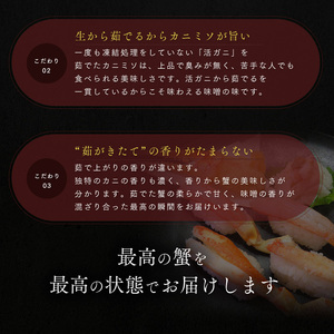【訳あり】 越前ガニ 500g以上 3杯 脚折れ カニ 越前ガニ