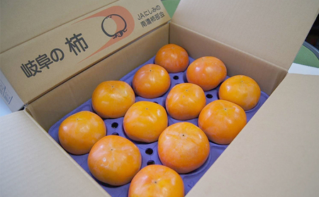 柿 果物 フルーツ 岐阜 柿（富有柿）12玉 【海津市】 果物類 かき 