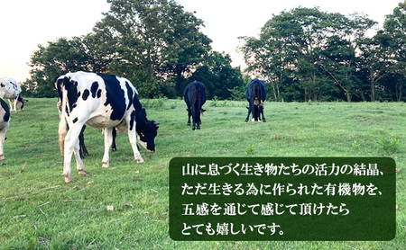 手作り ハンバーグ 15個入 牛肉 人気 自宅用 グルメ お取り寄せ 夕飯 おかず 惣菜