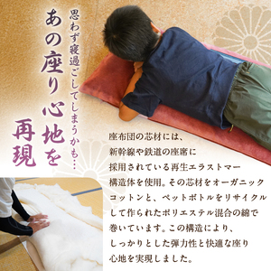 おうちでゆるっとメトロ（120×45cm・半蔵門線：紫色）【kt031-010-1】