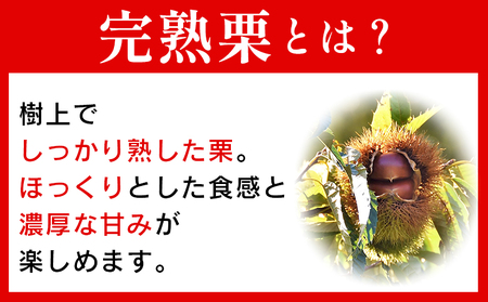 ＜完熟栗 約3kg（2Lまたは3Lサイズ）愛媛県西予市産＞ クリ くり 果物 フルーツ マロン モンブラン 栗ご飯 栗きんとん 栗の甘露煮 特産品 国産 秋の味覚 食べて応援 宇都宮物産 愛媛県 西予市【冷蔵】『2025年9月上旬～10月中旬迄に順次出荷予定』UUB0087