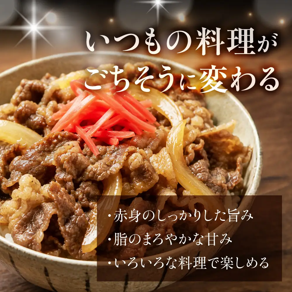 定期便 飛騨牛 A5 切り落とし｜飛騨牛