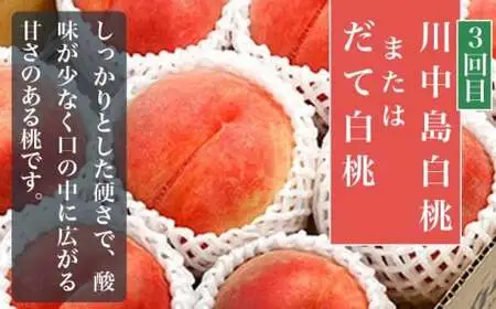 【3回定期便】小布施屋の 桃食べ比べ定期便 約1.8kg×3回 ［小布施屋］令和8年産【2026年7月末～9月上旬発送】[B-502]