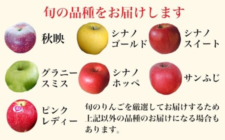 ［訳あり］  旬のりんご 約3kg 6～12玉 ［小布施屋］ 傷 規格外 不揃い 訳アリ 家庭用 りんご 林檎 リンゴ 果物 フルーツ 長野県産 信州産 特産 産地直送 産直 数量限定 先行予約 令和8年度産 【2026年11月配送】［A-304b］