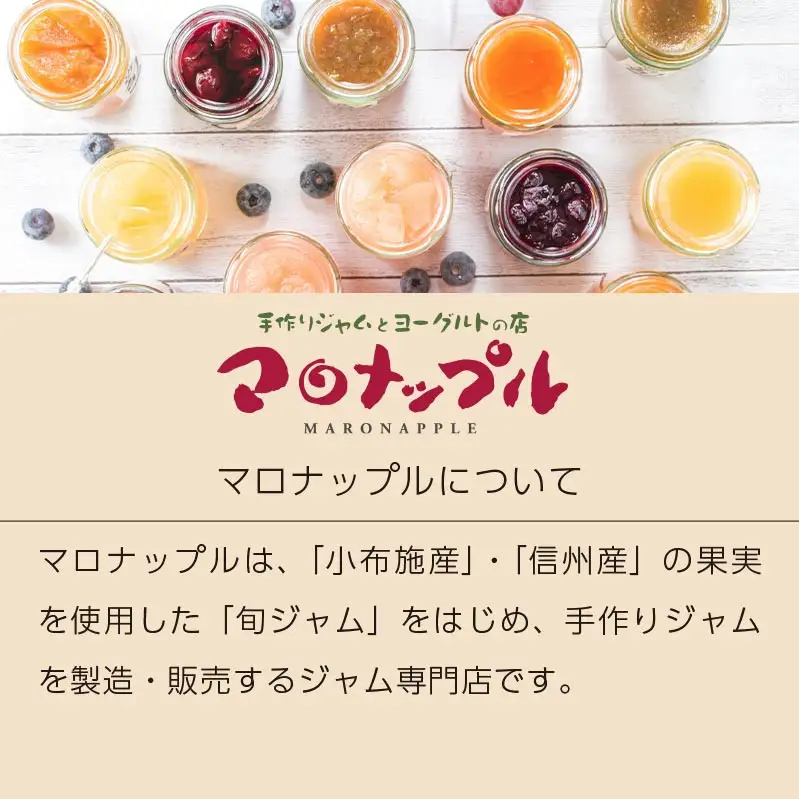 ［添加物不使用］ 信州ふじりんご使用 林檎チップス  40g × 6袋 ［手作りジャムの店 マロナップル］無塩 無糖 ノンフライ リンゴチップス りんごチップス おやつ お菓子 フルーツチップス ドライフルーツ アップル 林檎 長野県産 ［H-70］