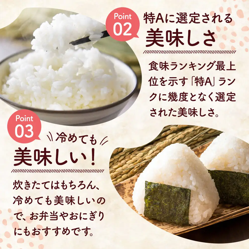 《令和8年産新米受付》米 特別栽培米 あきたこまち【精白米】10kg×1袋 ローズメイ 秋田県 大仙市産