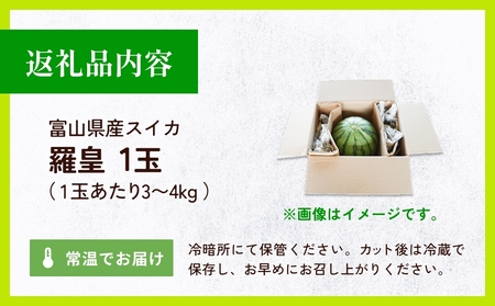 【先行予約】富山県産スイカ 羅皇 中玉 1玉 （3-4kg/玉） 【2026年8月以降順次発送】 スイカ 夏 果物 フルーツ 富山県 氷見市