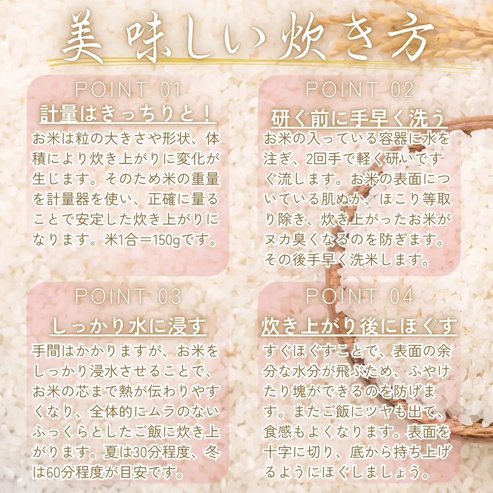＜令和8年産予約＞鳥取県南部町産 きぬむすめ 5kg 米 お米 こめ おこめ コメ 白米 精米 なんぶ里山デザイン機構