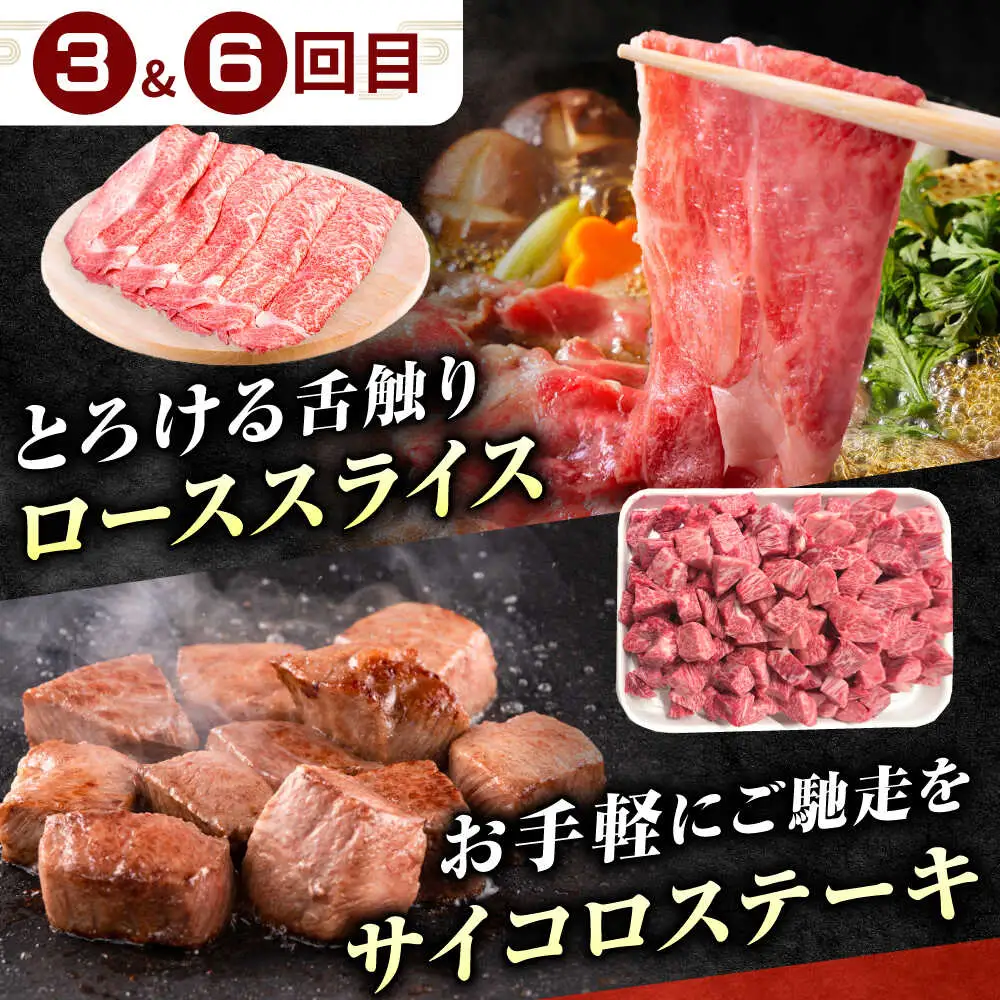 【6回定期便】肉のキング 飛騨牛満喫セット / 飛騨牛 サーロイン ステーキ 肉 詰め合わせ セット 岐阜県 / 御嵩町 / 肉のキング[AVAG020]
