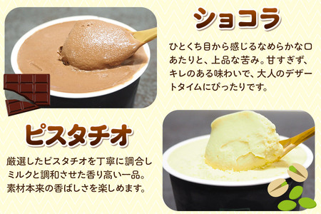 秋田市産 鈴木牛乳の低温殺菌牛乳を使用したアイスクリーム 5種（リッチミルク、バニラ、ショコラ、キャラメル、ピスタチオ）