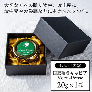【茨城県共通返礼品・河内町産】国産熟成キャビアVoeu-Pense (20g×１瓶）【トキタ 珍味 コラーゲン DHA・EPA 国産 熟成 お土産 贈り物】（KED-01)