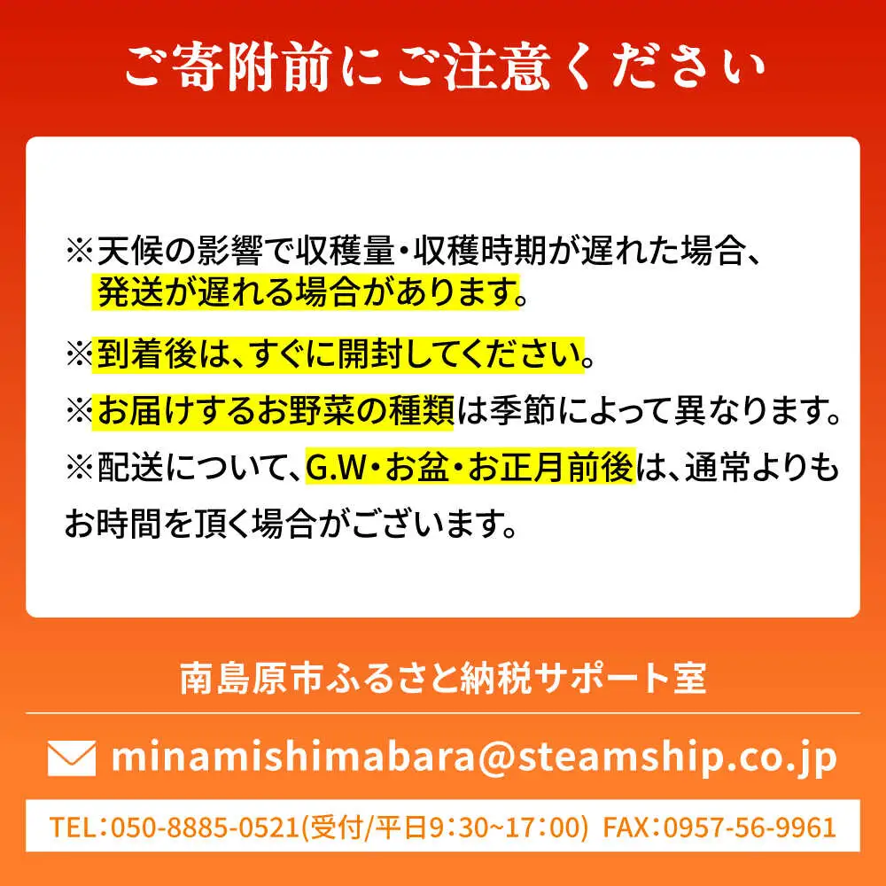 【6回定期便】野菜のプロが選ぶ 旬の野菜セット 12-13品目 野菜定期便 / 野菜 やさい セット 新鮮 / 南島原市 / 愛2農園[SGG003]