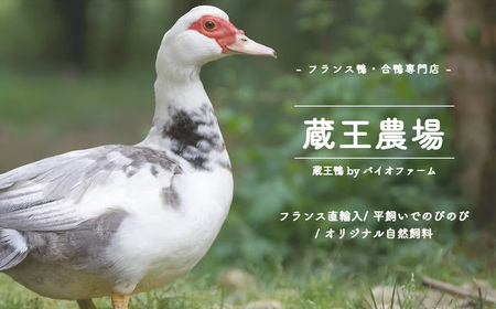 蔵王本鴨 鴨ハンバーグ180g×5個（計900g）　【04301-0880】