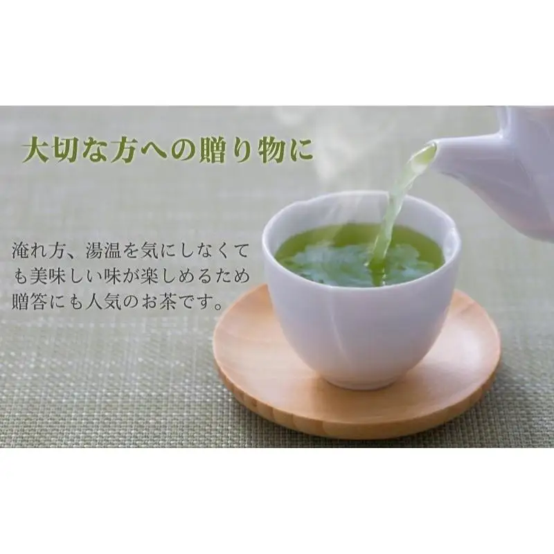 お茶 森の茶 初摘み たっぷり10袋 煎茶 お茶