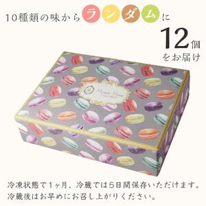 世界が認める東京・八王子メゾンドゥース　フルーツの甘酸っぱさが広がる人気のマカロン12個入り|マカロン