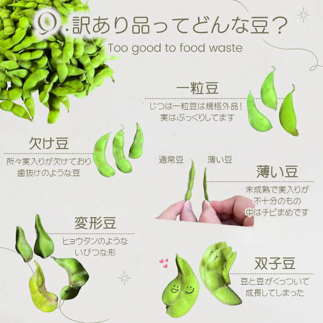 【令和8年産先行予約】【訳あり】白山だだちゃ豆　3kg（1kg × 3袋）　長五郎