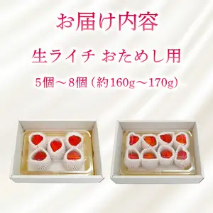 国産ライチ お試し160～170g【ライチ】
