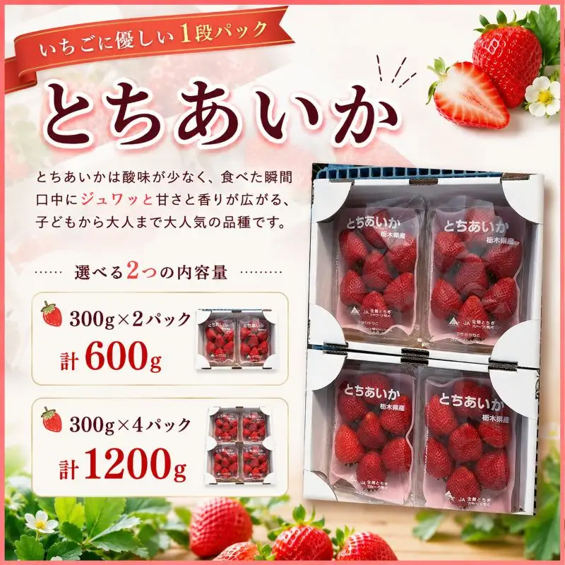 やさしさ仕立ての とちあいか 300g×2P 【2027年先行予約】 栃木県 矢板市