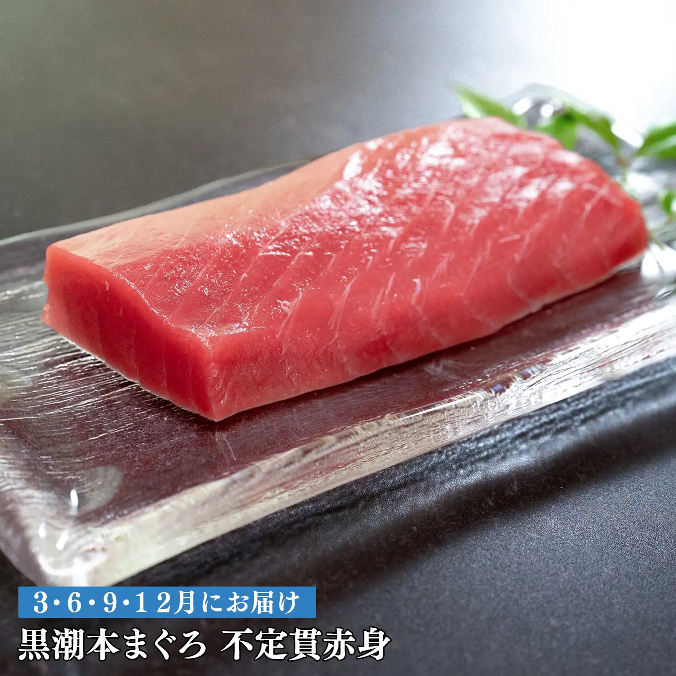 訳あり 不定貫 定期便 4回 高知県産 本マグロ 赤身 養殖 120g (PT0080_0459)