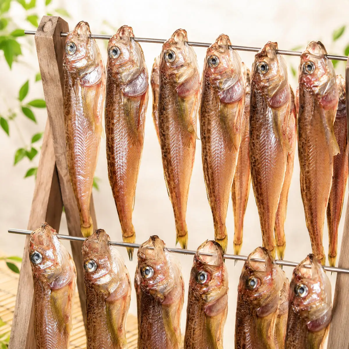 ハタハタ 特大 450g 1箱 干物 一夜干し × 海鮮 干物 ハタハタ
