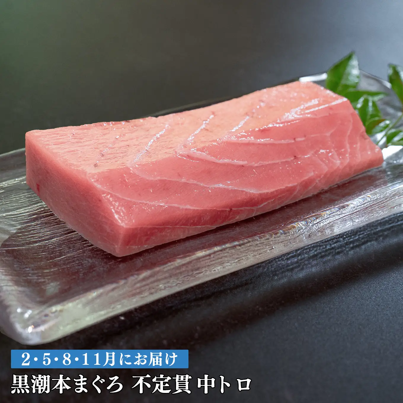 訳あり 不定貫 定期便 4回 高知県産 本マグロ 中トロ 養殖 120g (PT0080_0462)