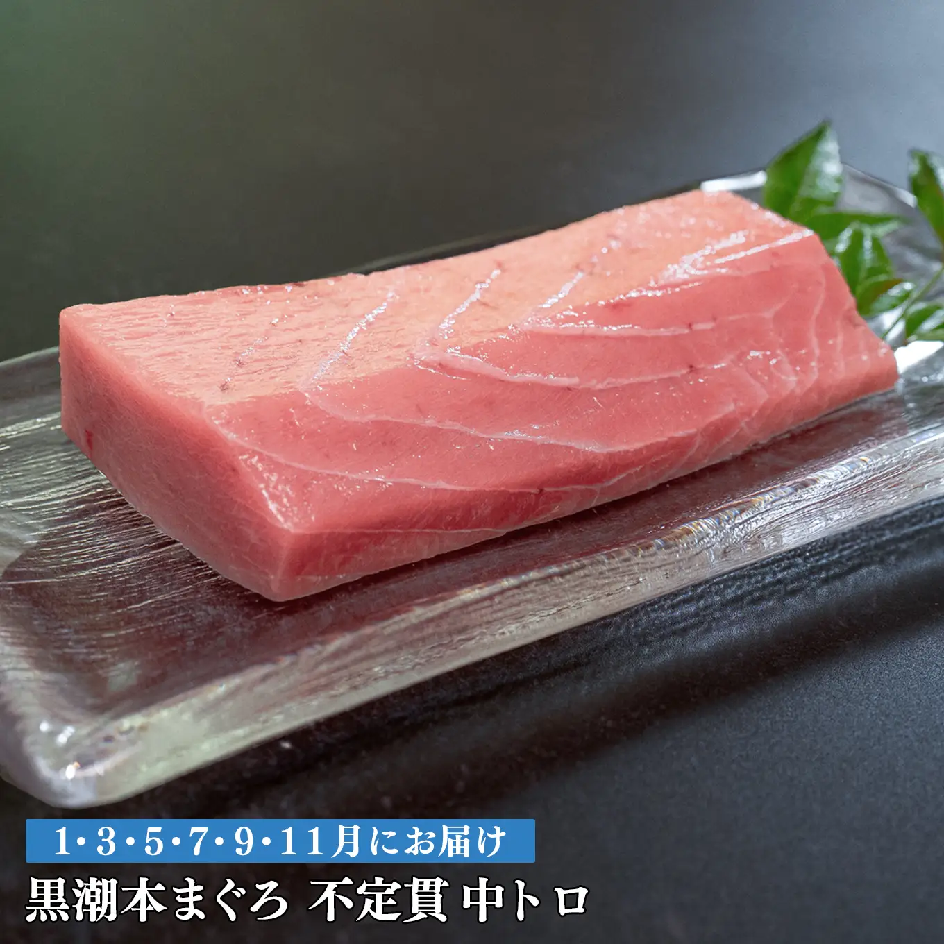 訳あり 不定貫 定期便 6回 高知県産 本マグロ 中トロ 養殖 120g (PT0080_0463)