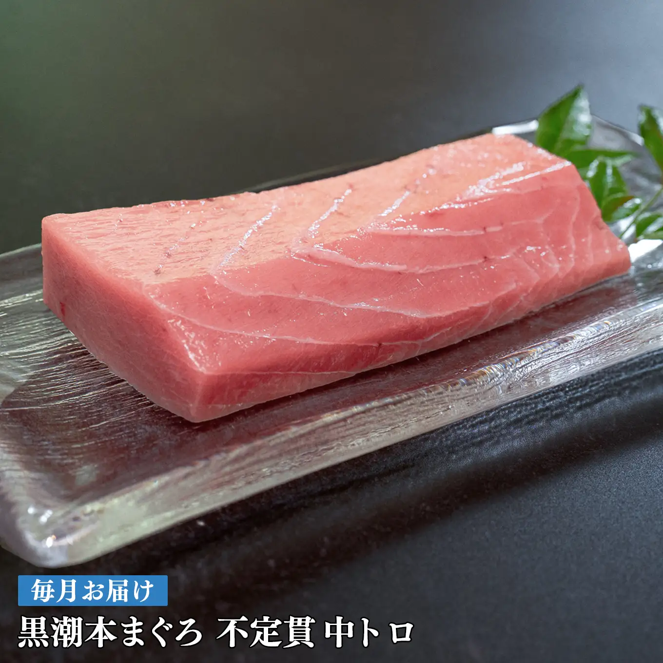 訳あり 不定貫 定期便 12回 高知県産 本マグロ 中トロ 養殖 120g (PT0080_0464)