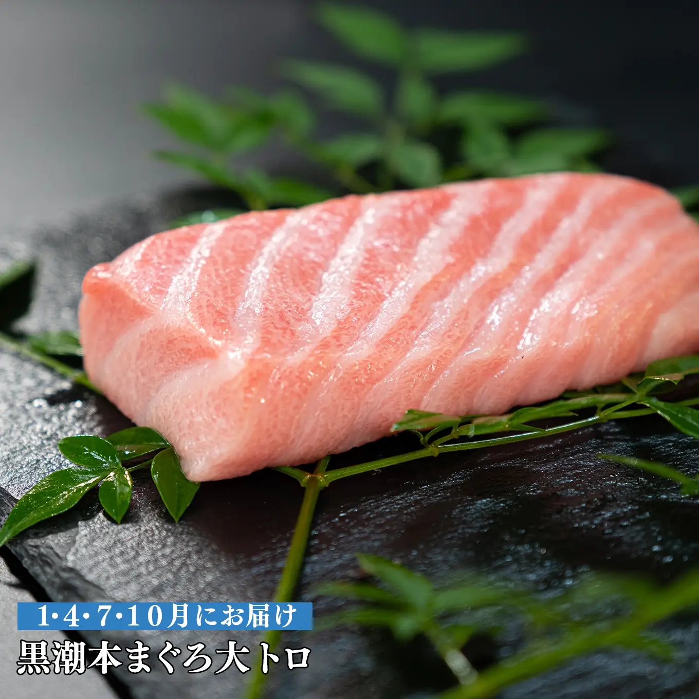 訳あり 不定貫 定期便 4回 高知県産 本マグロ 大トロ 養殖 120g (PT0080_0465)