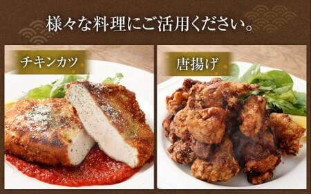 ＜宮崎県産若鶏6kgセット＞翌月末迄に順次出荷【c430_hn_x4】