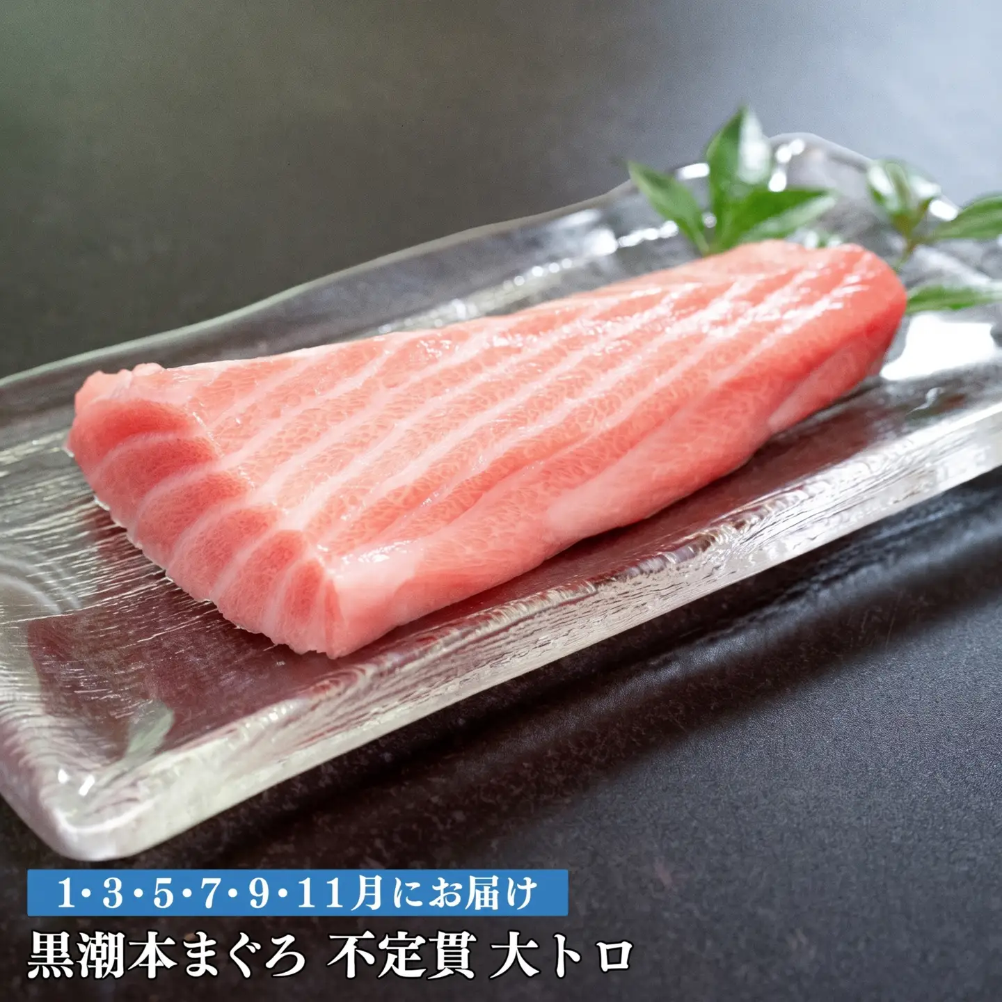 訳あり 不定貫 定期便 6回 高知県産 本マグロ 大トロ 養殖 120g (PT0080_0466)
