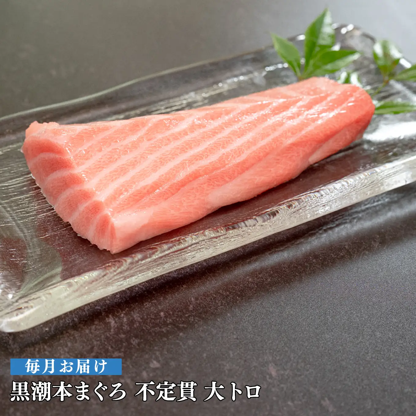 訳あり 不定貫 定期便 12回 高知県産 本マグロ 大トロ 養殖 120g (PT0080_0467)