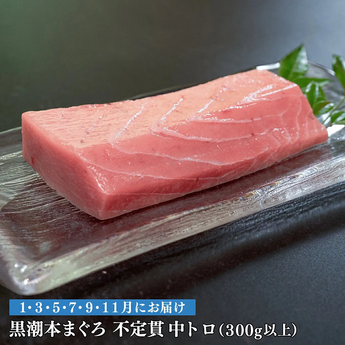 訳あり 不定貫 定期便 6回 高知県産 本マグロ 中トロ 養殖 300g (PT0080_0472)