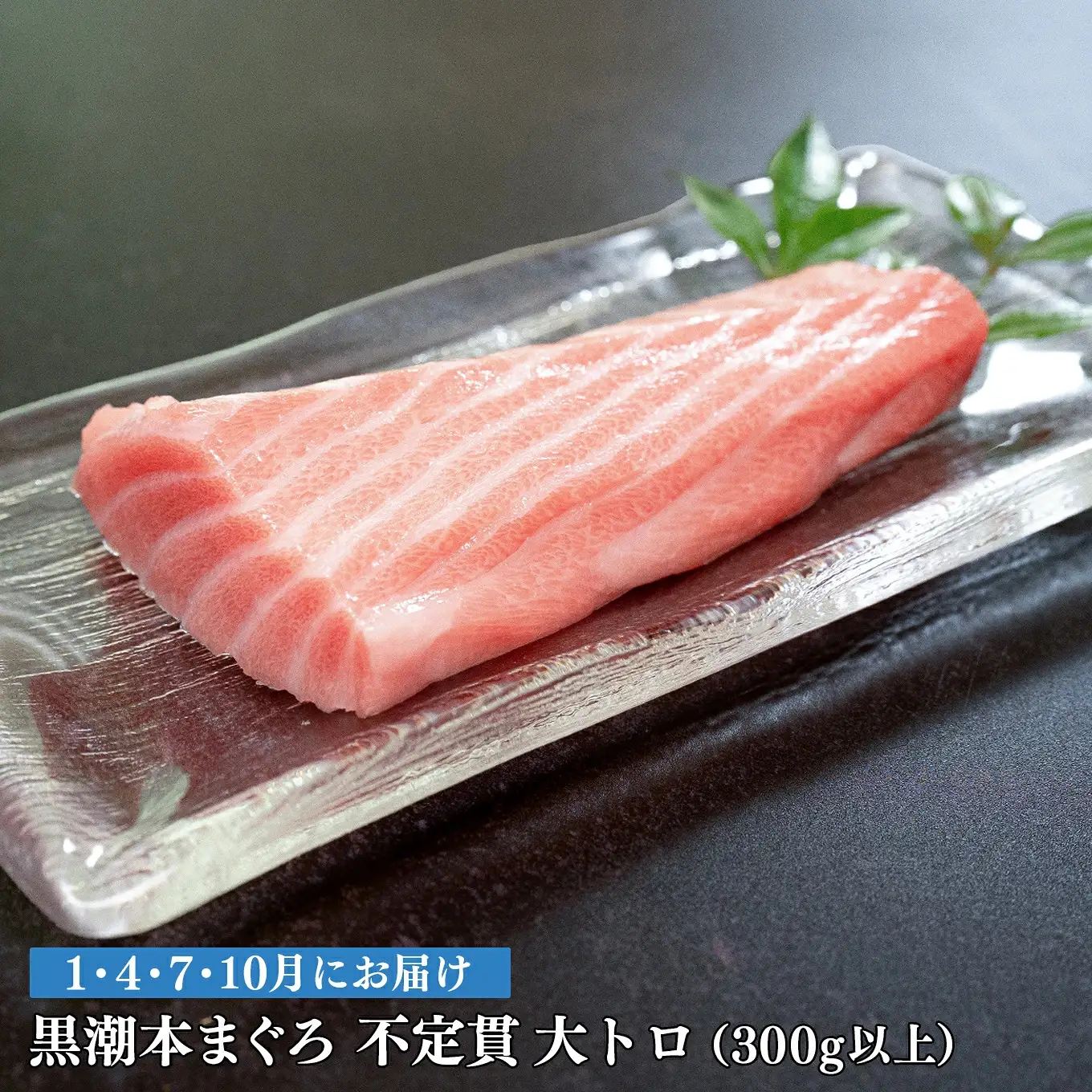 訳あり 不定貫 定期便 4回 高知県産 本マグロ 大トロ 養殖 300g (PT0080_0474)