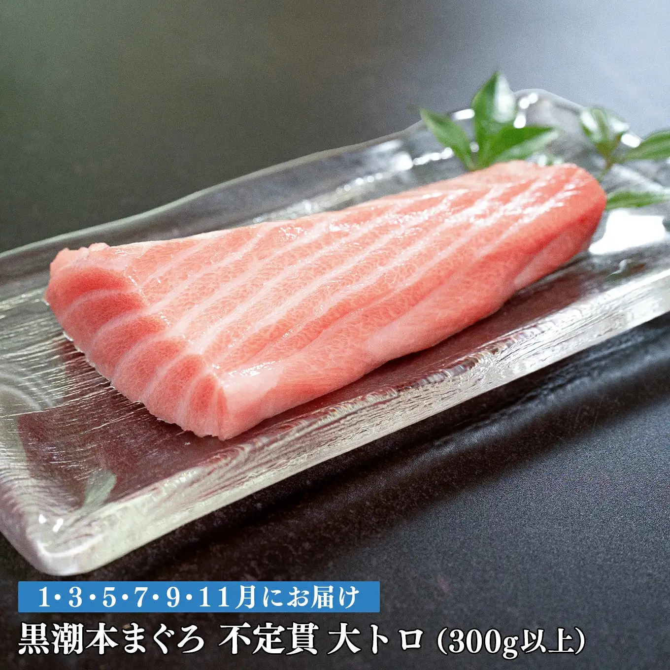 訳あり 不定貫 定期便 6回 高知県産 本マグロ 大トロ 養殖 300g (PT0080_0475)