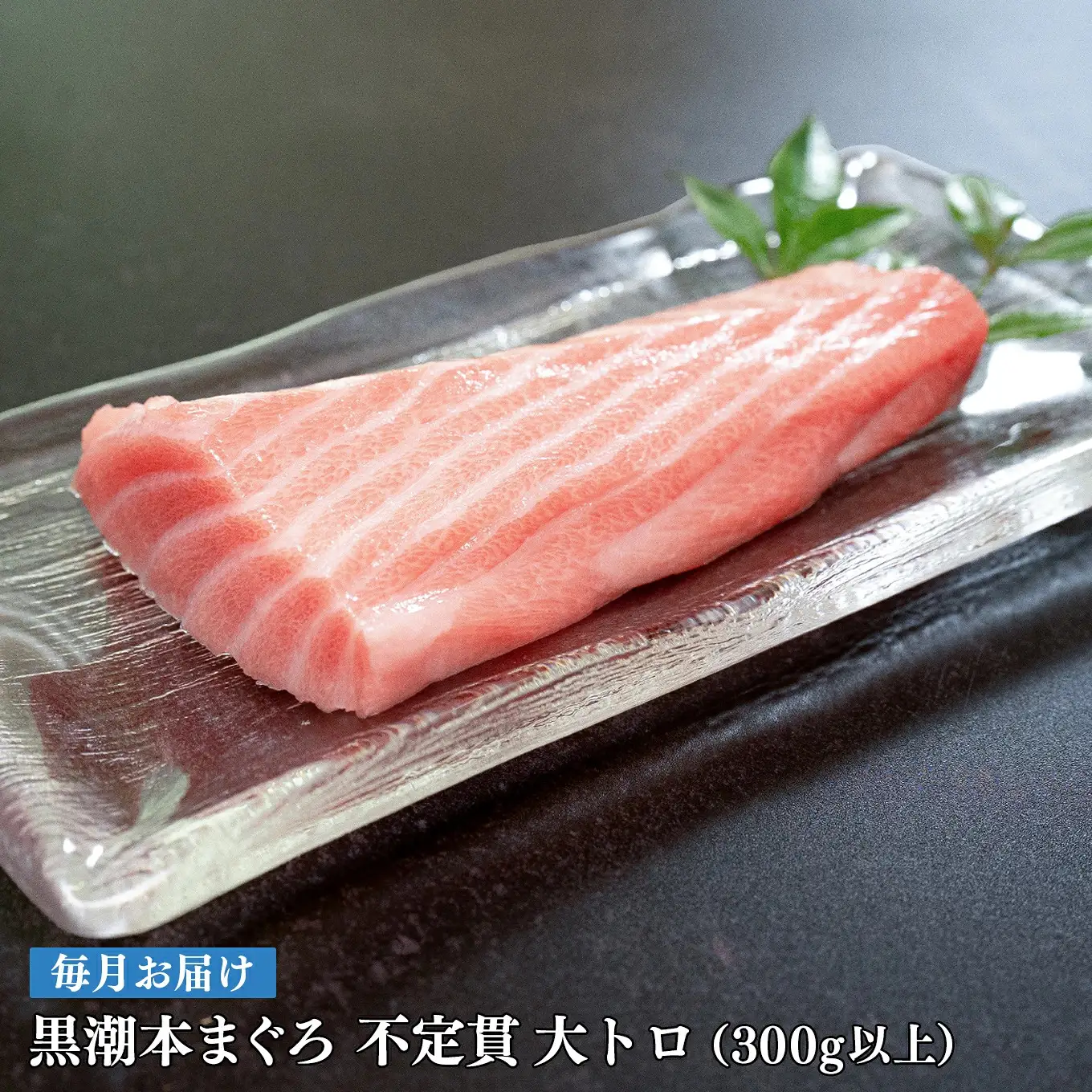 訳あり 不定貫 定期便 12回 高知県産 本マグロ 大トロ 養殖 300g (PT0080_0476)