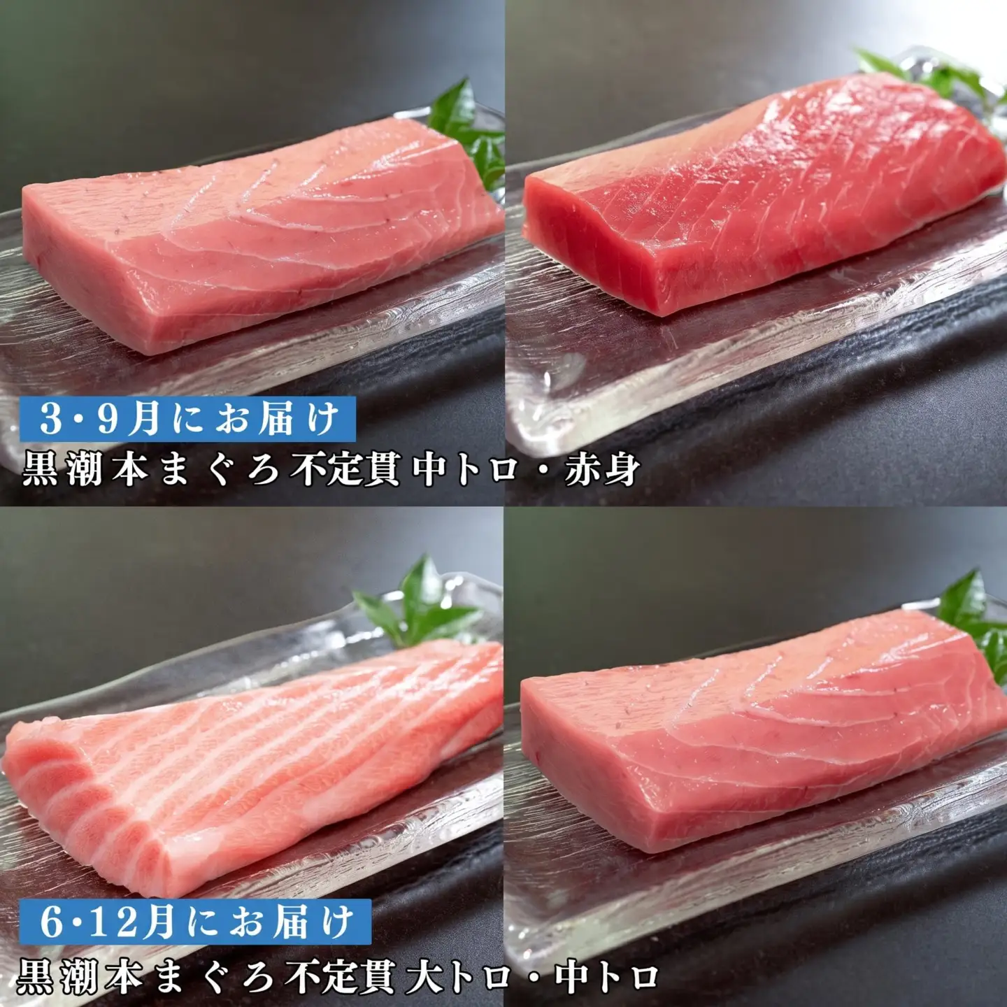 訳あり 不定貫 定期便 4回 高知県産 本マグロ 大トロ・中トロ・赤身 月替わり (PT0080_0477)