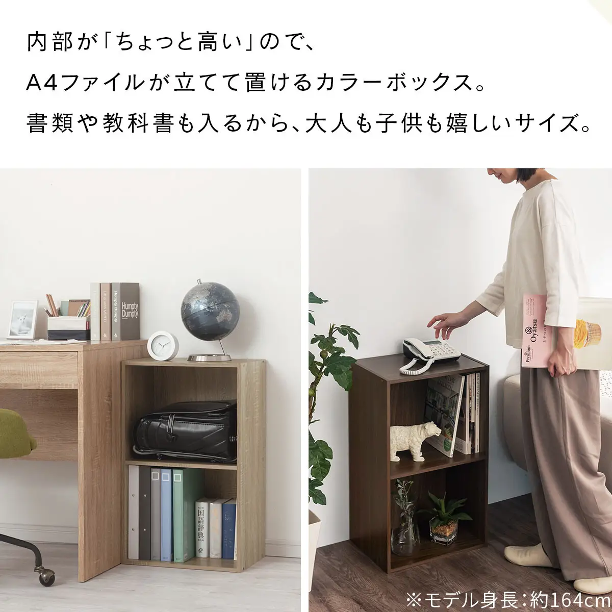 【完成品でお届け】カラーボックス〔2段〕（オーク）カラーボックス 2段 A4 横置き 縦置き 収納棚 おしゃれ 本棚 大容量 スリム ラック 棚 オープンラック 木製 ミニ 省スペース 隙間 木製ラック 縦型 横型  AKANBR920126-0-OAK