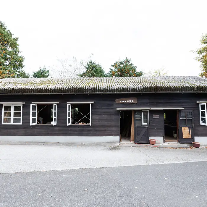 丸型カッティングボード 通 耐水加工 (L36×W30×T2cm) 台所 キッチン 調理道具 調理 料理 日用品 銀杏材 銀杏 【opbs012】【くにさき六郷舎】