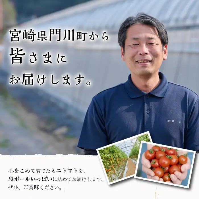 ＜期間限定＞ミニトマト(約1.5kg) 野菜 サラダ 【GF-4】【グーファーム】