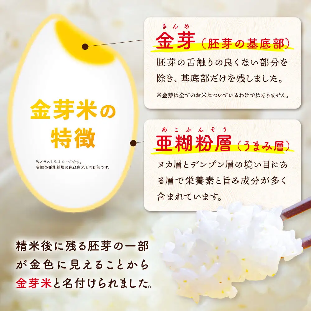 【令和7年産 白米】金芽米 あきたこまち 5kg 玄米の栄養を残した白米 きんめまい