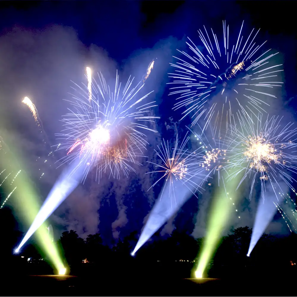 万博夜空がアートになる日　2026　鑑賞チケット　パノラマシート2枚 ／ イベント 花火 花火大会 芸術イベント 観覧シート 万博記念公園 大阪吹田市 一夜限り 国内トップクラス 家族 ファミリー 恋人 カップル 思い出 記念日 大阪府 No.176