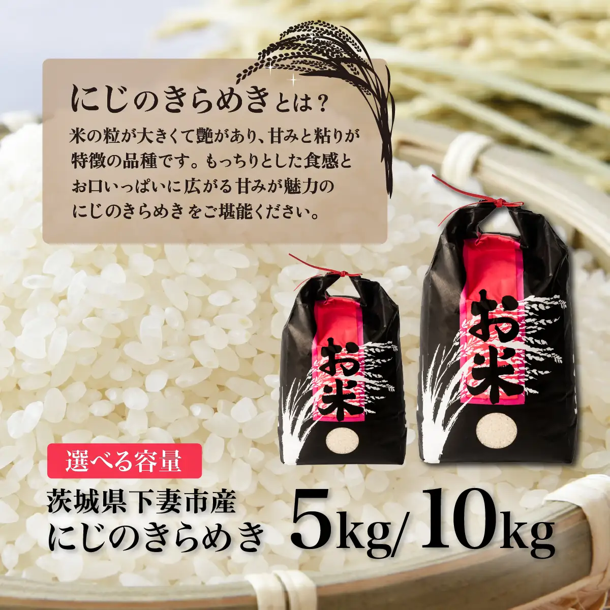 精米 10kg 令和7年産 にじのきらめき 茨城県 下妻市産