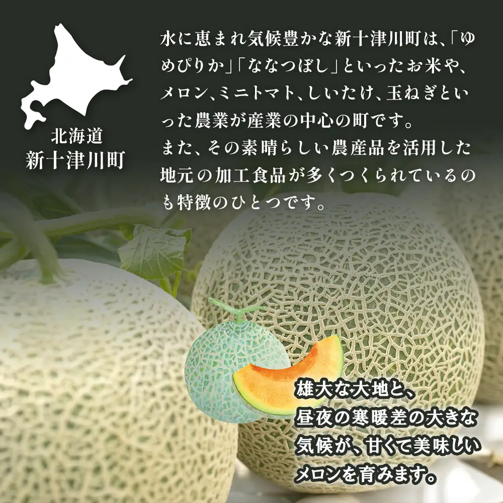 【先行予約】【数量限定】 赤肉メロン3玉【令和８年７月～８月上旬発送】【1203201】