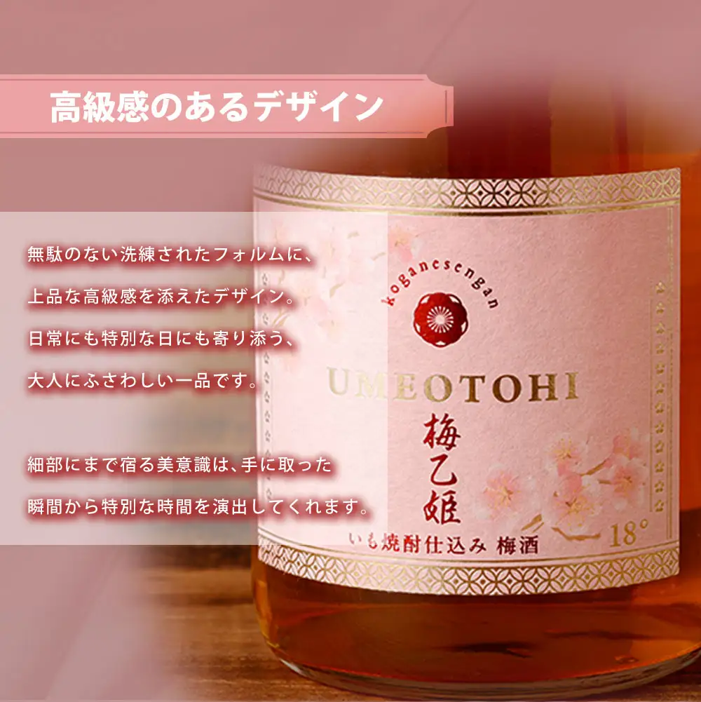 うまかぞー九州 本格梅酒 梅乙姫 720ml 梅酒 KN163-002 酒