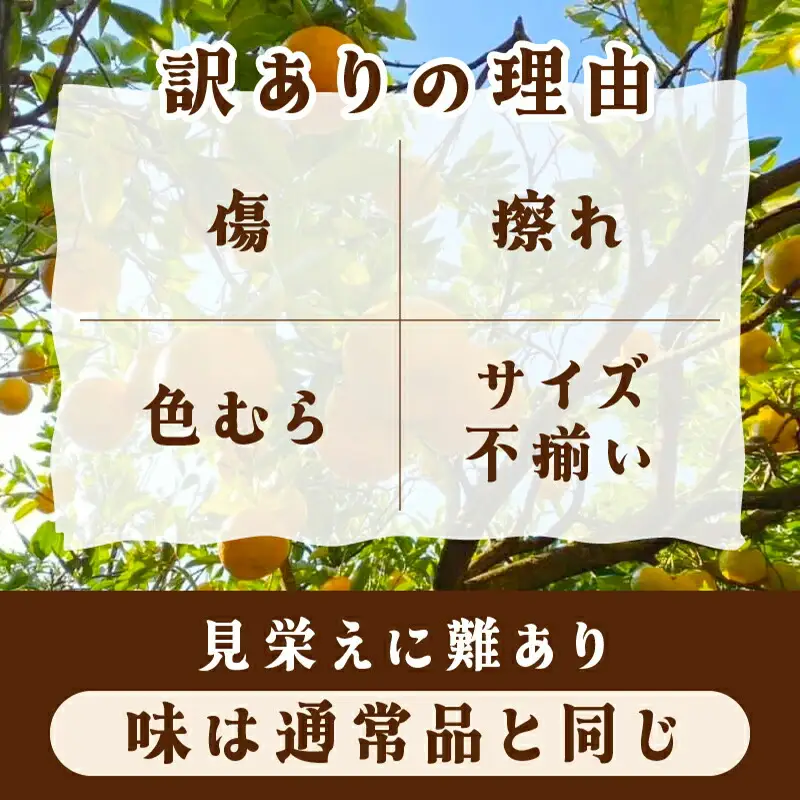 【先行予約】訳ありポンカン Mサイズ 5kg N-08【布富FARM】