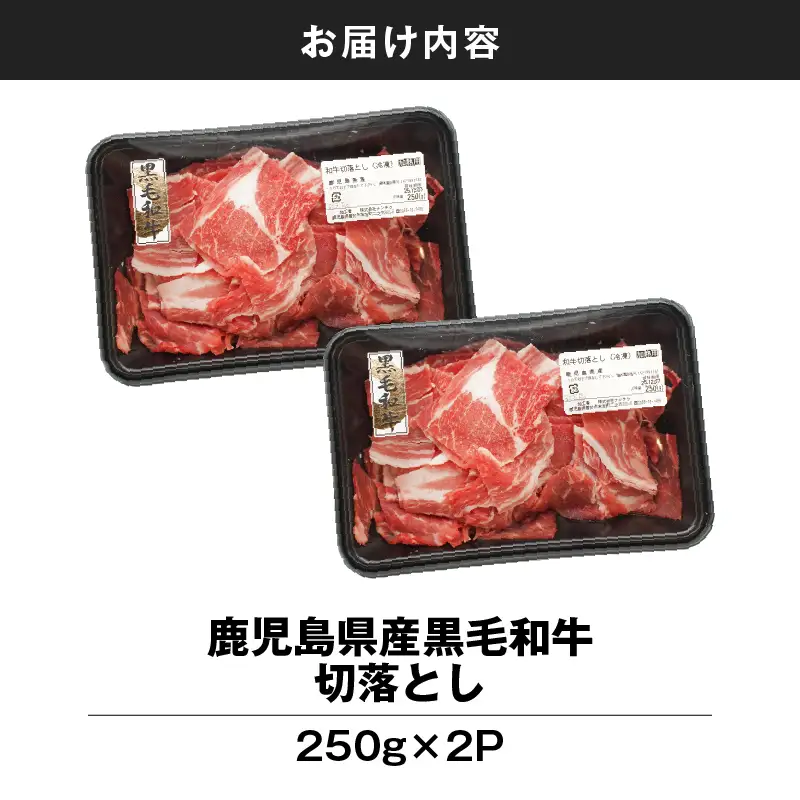 鹿児島県産 黒毛和牛 切り落し 計500g KN102-006-01 肉 牛肉 冷凍