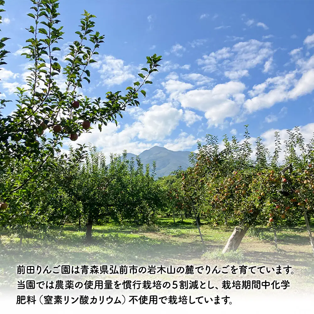【26年10月～発送】りんご 【訳あり】 はつ恋ぐりん 約 5kg 前田りんご園