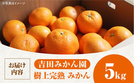 【2027年1月以降順次発送】樹上完熟みかん 5kg / 柑橘 国産 フルーツ / 佐賀県 / 吉田みかん園 [41ABAG003]