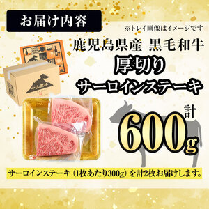 【数量限定】A4・5等級 鹿児島県産黒毛和牛【厚切り】サーロインステーキ 計600g（300g×2枚） 黒毛和牛 和牛 ステーキ サーロイン 牛肉 国産 霜降り 焼肉 BBQ 日本一 ランキング 人気 A4 A5 e0-056